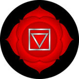 Eerste chakra (Muladhara, of wortel-, basis-, of stuitchakra) 