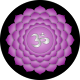 Zevende chakra (Sahasrara of kruinchakra)