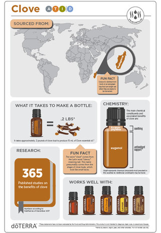 Kruidnagel (clove) essentiële olie, 15 ml van Doterra